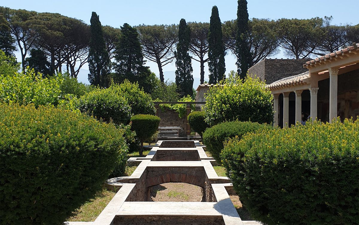 A well-governed garden in Pompeii. Photo by the author.